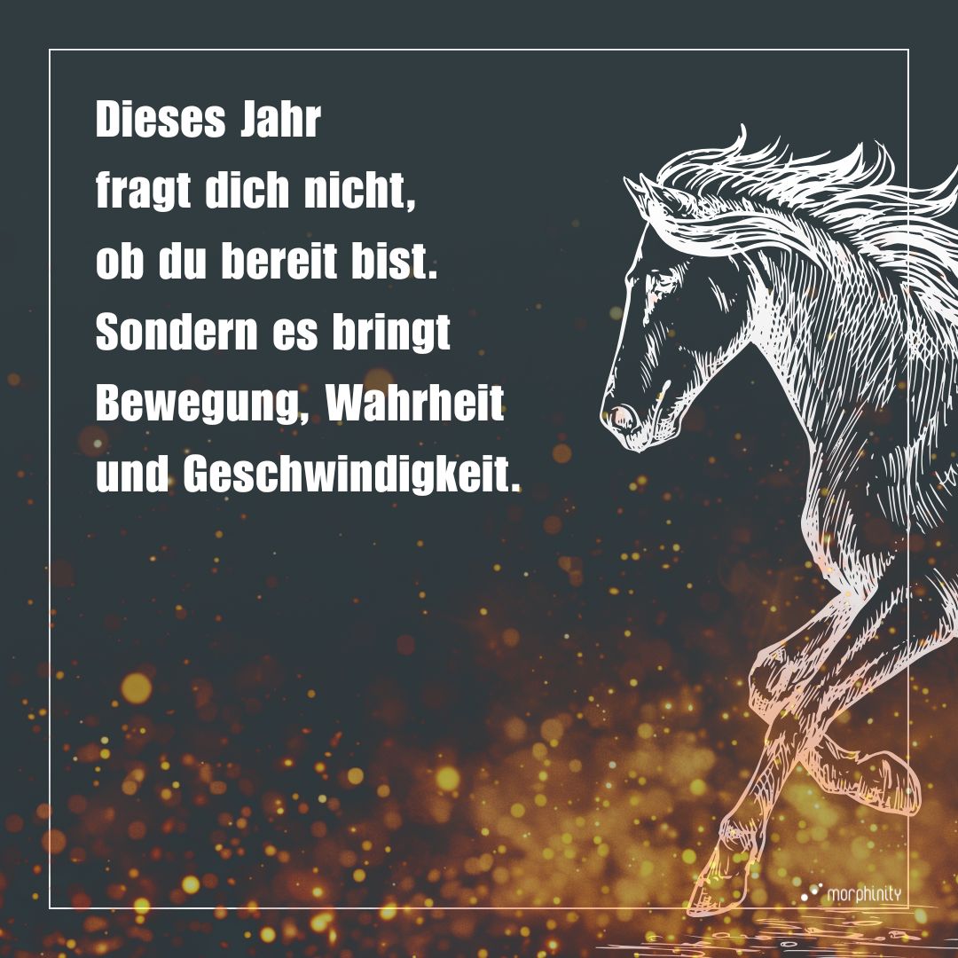 FEUERPFERD-BOX